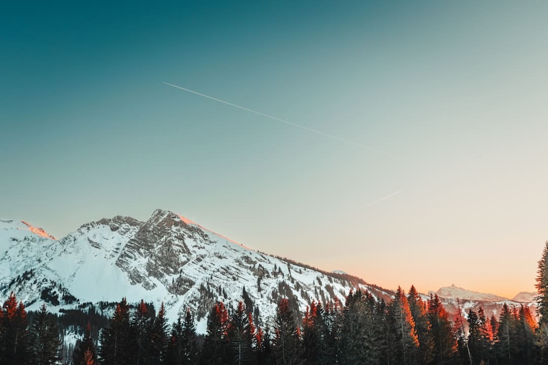 http://www.kcrea.cc/skin/default/image/zoomin.gif
